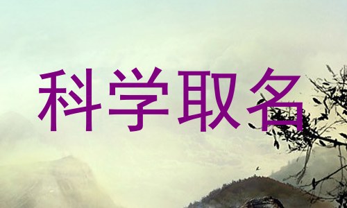 科学取名