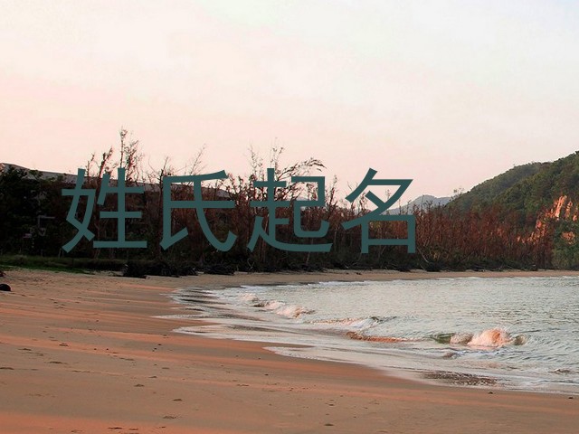 姓氏起名