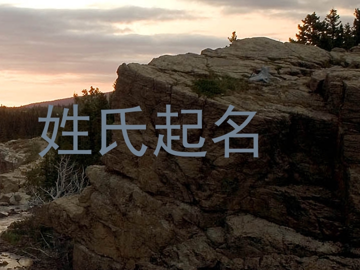 姓氏起名