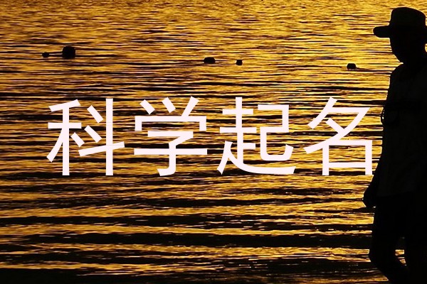 科学起名