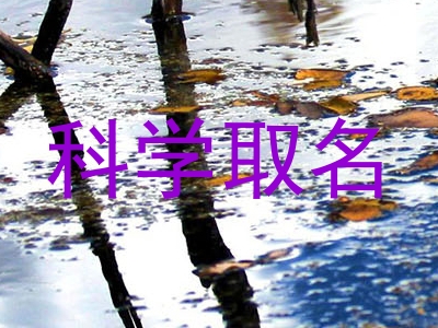 科学取名