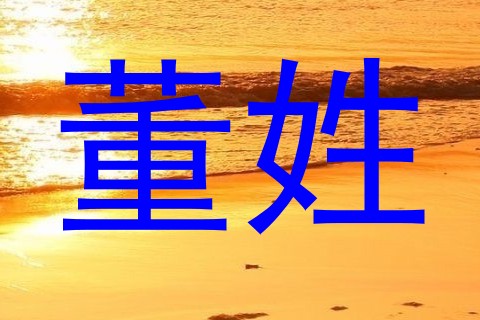 董姓