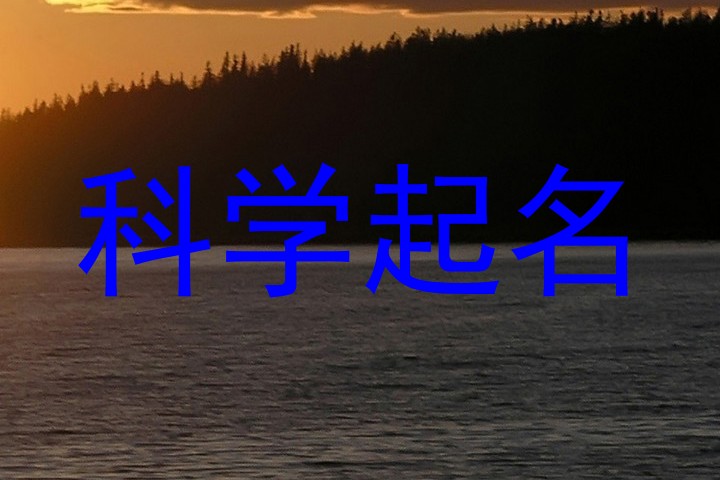 科学起名