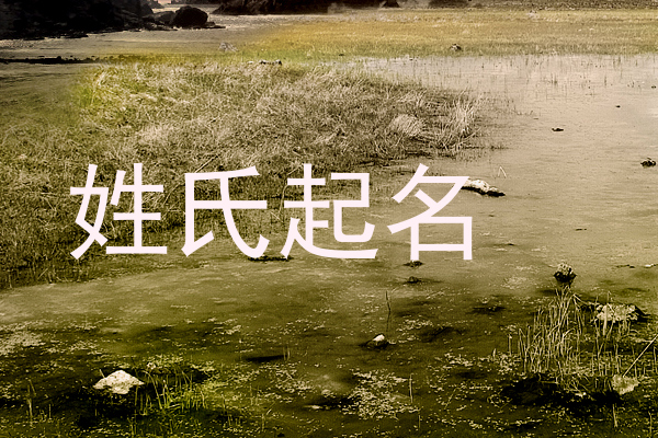 姓氏起名