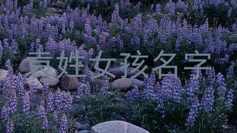 袁姓女孩名字