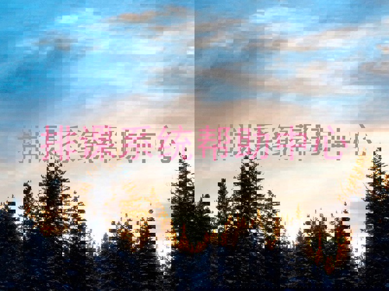 排课系统帮助中心