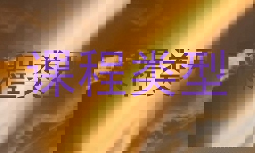 课程类型