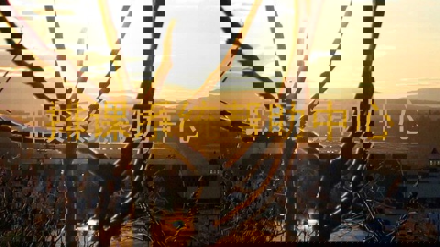 排课系统帮助中心