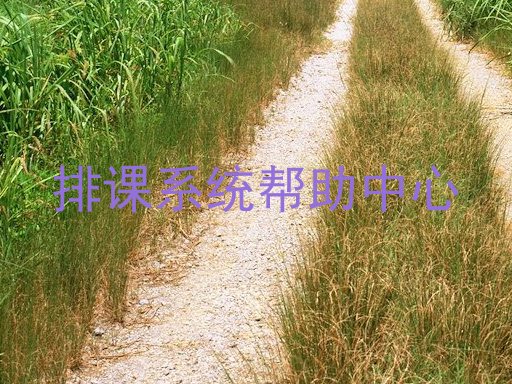 排课系统帮助中心