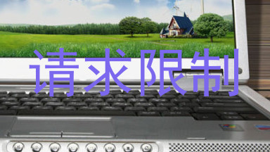 请求限制