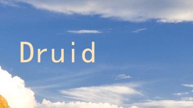 Druid