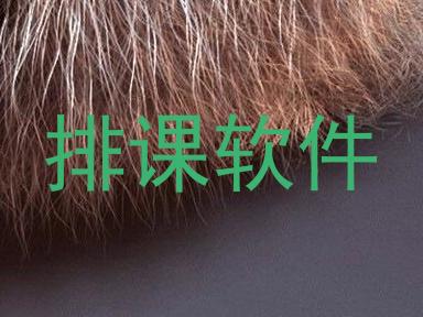排课软件