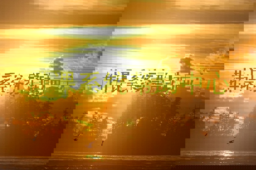 排课系统帮助中心