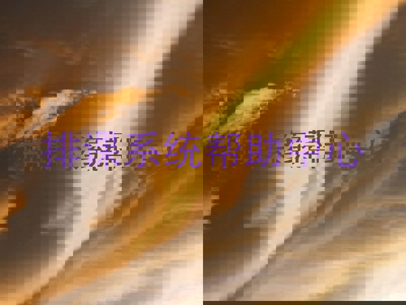 排课系统帮助中心