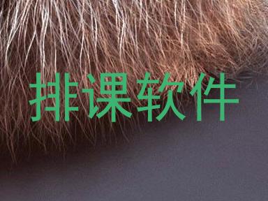 排课软件