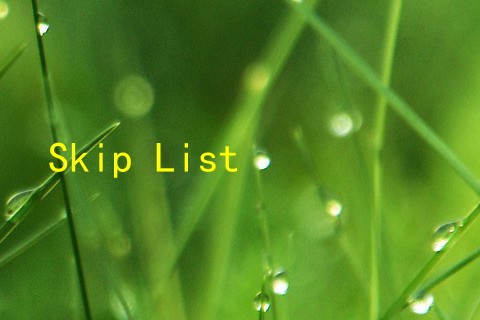Skip List