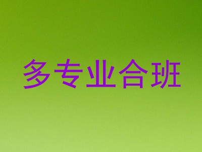 多专业合班