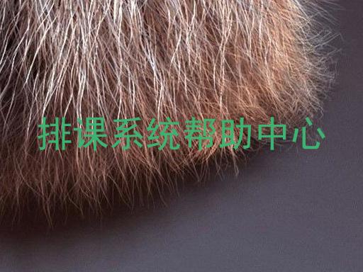 排课系统帮助中心