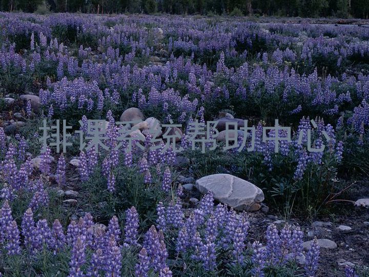 排课系统帮助中心