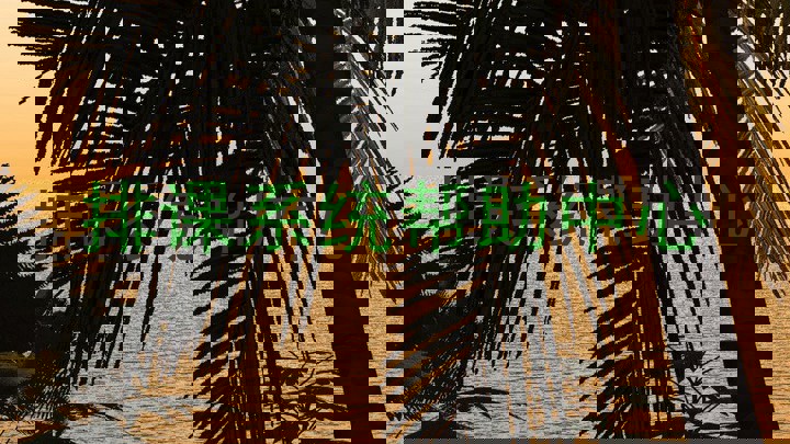 排课系统帮助中心