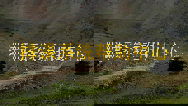 排课系统帮助中心