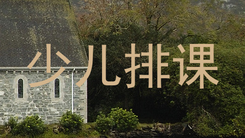 少儿排课