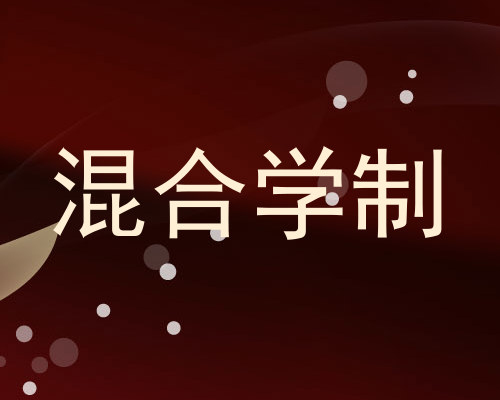 混合学制