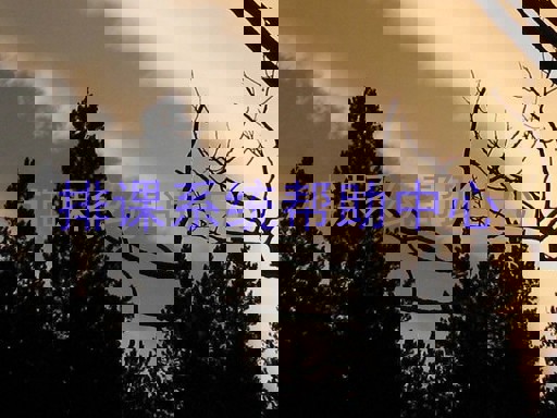 排课系统帮助中心