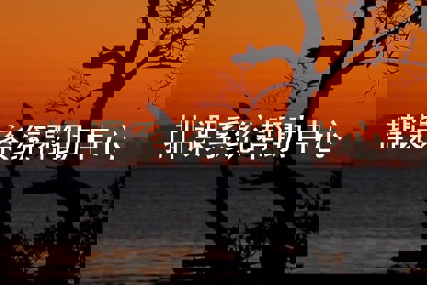 排课系统帮助中心