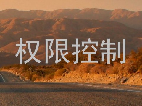 权限控制