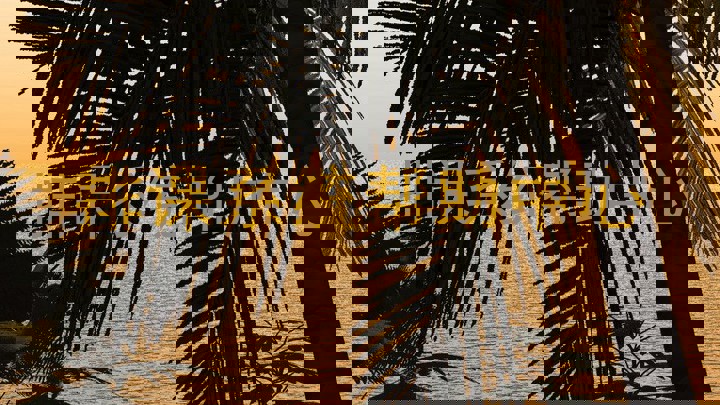 排课系统帮助中心