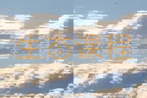 生态课程
