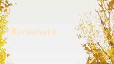 Wireshark