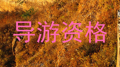 导游资格