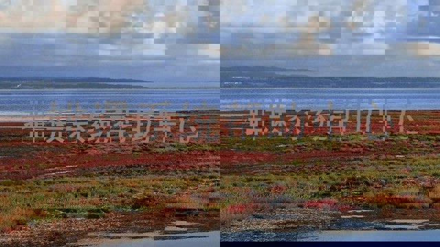 排课系统帮助中心