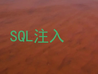 SQL注入