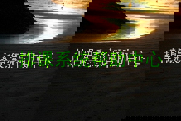 排课系统帮助中心