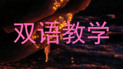 双语教学