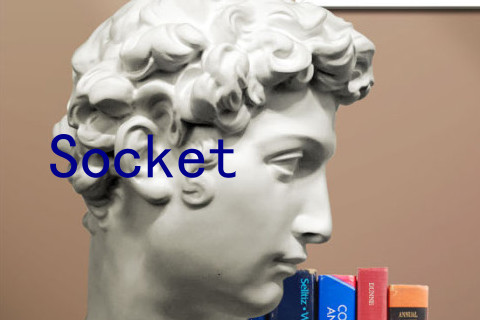 Socket