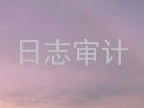 日志审计