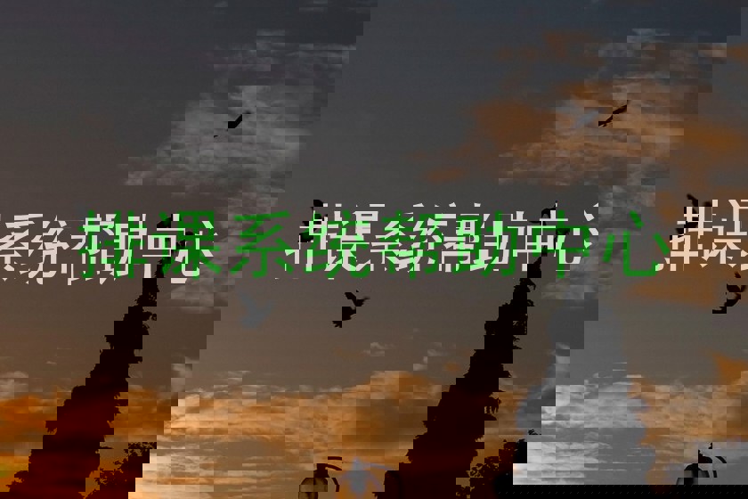 排课系统帮助中心