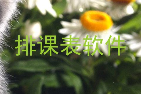 排课表软件
