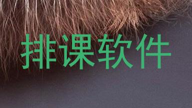 排课软件
