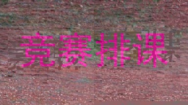 竞赛排课