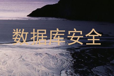 数据库安全