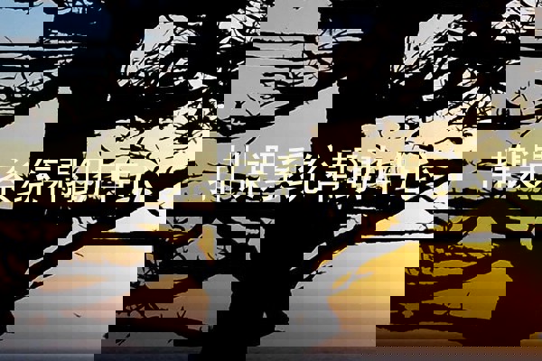 排课系统帮助中心