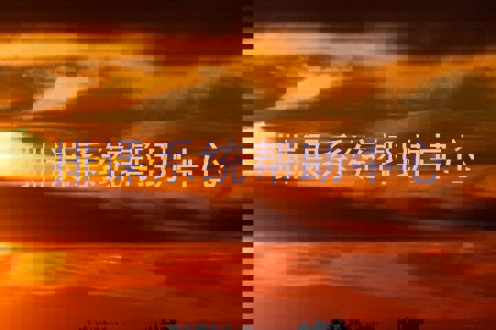 排课系统帮助中心