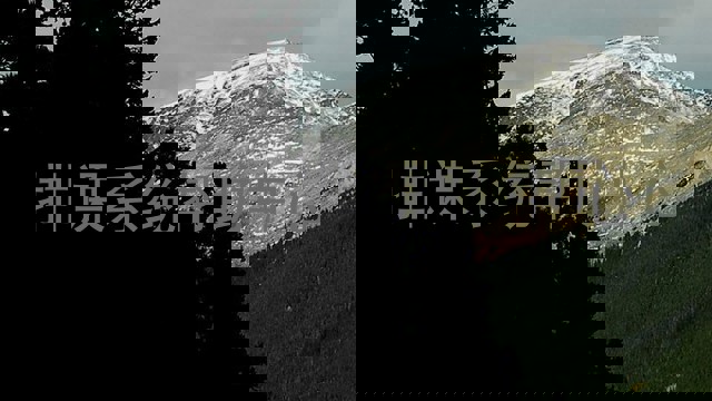 排课系统帮助中心