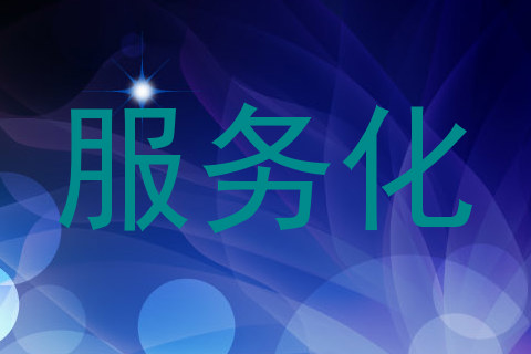 服务化