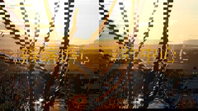 排课系统帮助中心